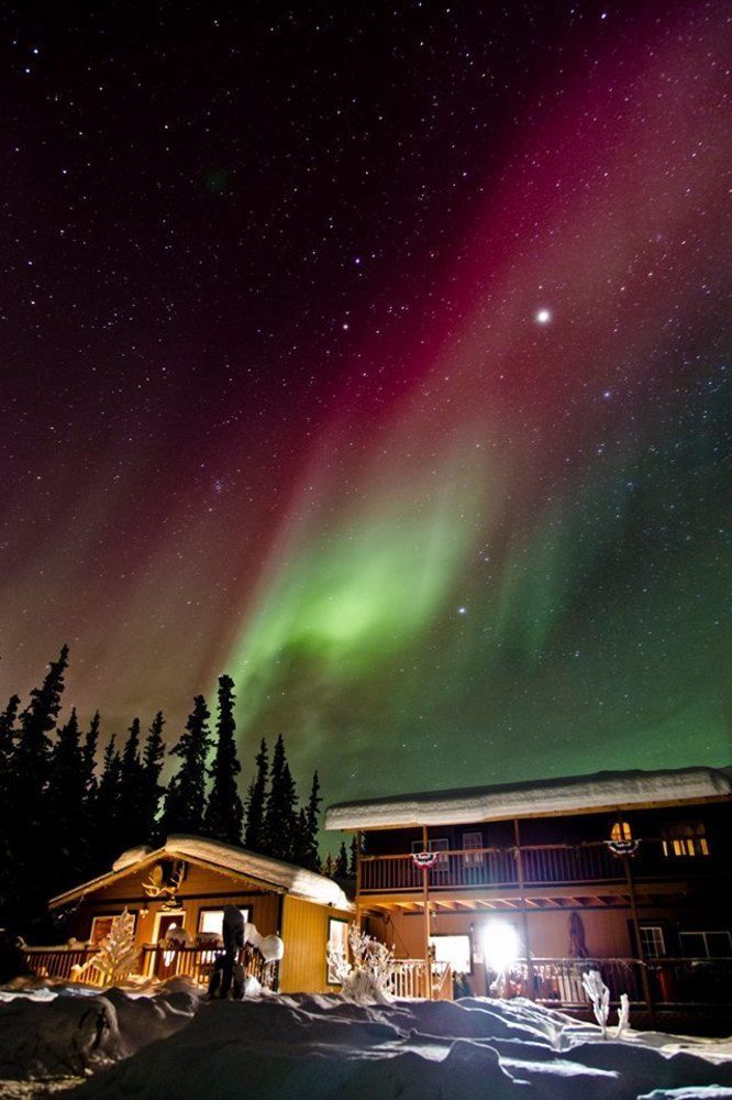 A Mooseberry Inn B&B Slana Exterior foto